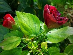 -中国农科院国家农业科技展示园