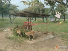 -西安秦岭野生动物园