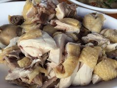 -遇龙河大樟树农家乐