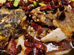 -老板恋上鱼(恒隆广场店)