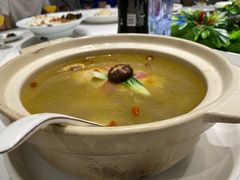 -丁老爷子苏香圆