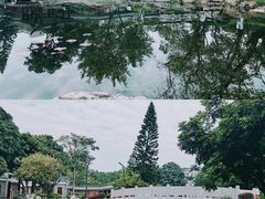-广西大学(大学东路校区)