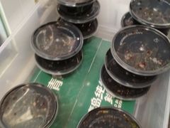 -九斤黄三黄鸡专卖店