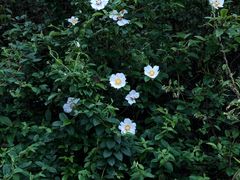 -东钱湖旅游度假区