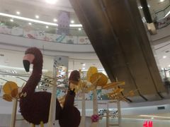 -凯德广场(学府店)