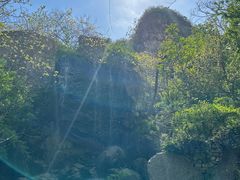 -幽岚山·童话森林