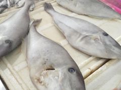 -东星临时农贸市场