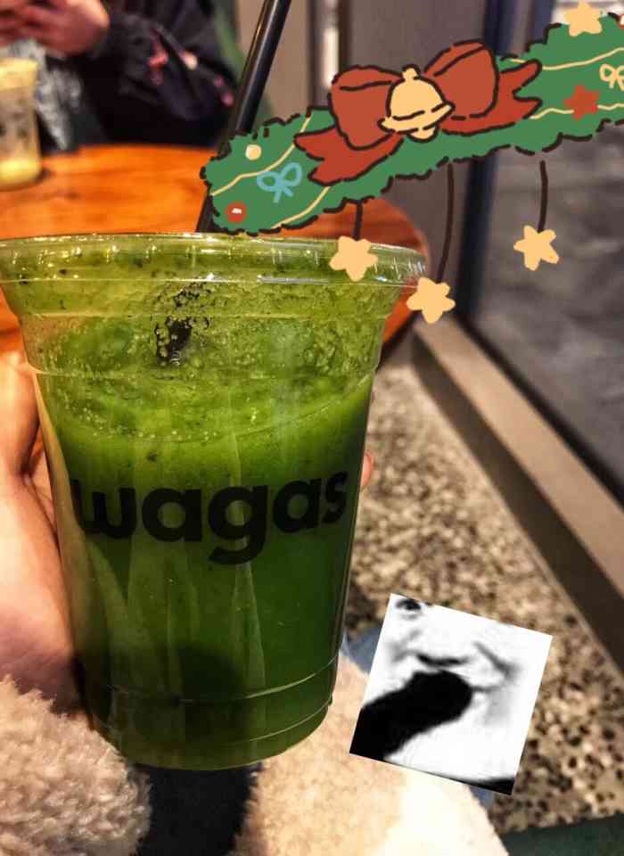 wagas沃歌斯(青岛万象城店)-"青岛唯一一家wagas 作为骨灰级粉丝.