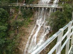 -九龙江国家森林公园