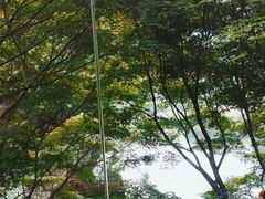 -天怡·鱼工厂(梅溪湖店)