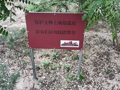 -元大都城垣遗址公园