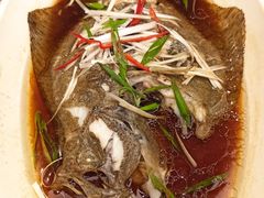 清蒸多宝鱼-飞鹿餐饮·陕南菜(北关店)