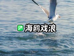 -银沙滩浴场