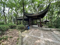 -上海佘山国家森林公园天马山园