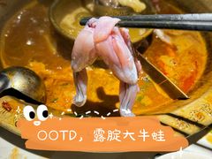 -哥老官重庆美蛙鱼头(五角场合生汇店)