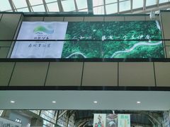 -五营红松林海景区