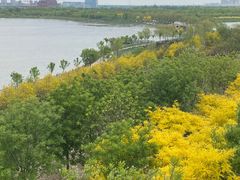 -天津东丽湖风景区