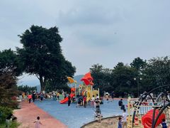 -铁山坪森林公园