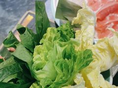 -探窝·竹笙椰子鸡(杨箕店)