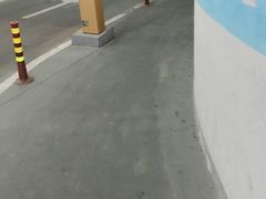 -添彩臻宴
