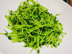 -洋洋中餐馆·SINCE 1997(信投店)