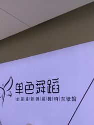 -单色舞蹈