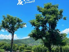 -耶里夏丽·丝路国际·新疆餐厅(浦东区东方路店)