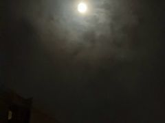 -杏花樓(大世界店)