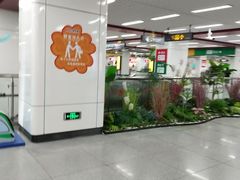 -合肥火车站(地铁站)