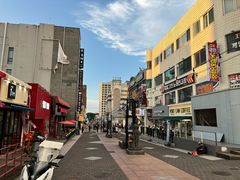 -宝健路步行街(Pedestrian Shopping Street)