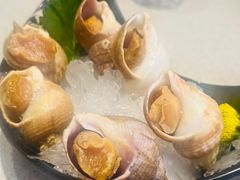 白俄螺刺身-万岁寿司(万国店)