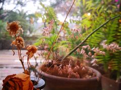 -时光花园(白鹭洲店)