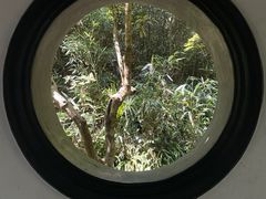 -虎跑公园
