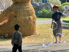 -佛冈森波拉度假区