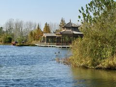 -溱湖国家湿地公园