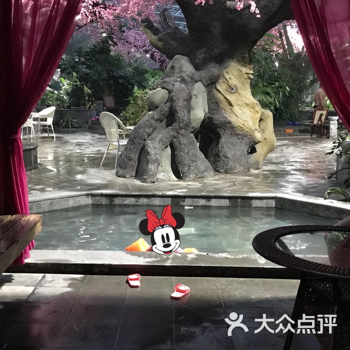 北京北苑温泉图片