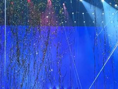 -宝能国际体育演艺中心