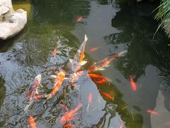 -莹珠阁·私房菜