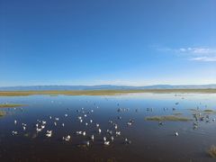-青海湖国家重点风景名胜区
