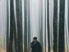 -山王坪喀斯特国家生态公园