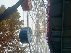 -西安市长乐公园