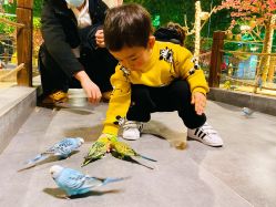 -酷嗒动物文化乐园(cutezoo西溪乐天城店)