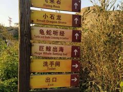 -洋山深水港