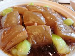 -陈麻婆豆腐总店