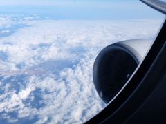 -全日本空输株式会社(上海办事处)