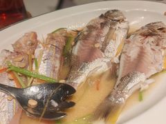 -金成潮菜博物馆(海珠湿地店)
