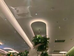-Aqua Oasis 水天堂(太湖中心mall店)