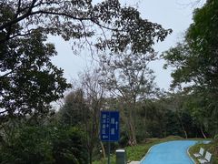 -黄埔油麻山森林公园