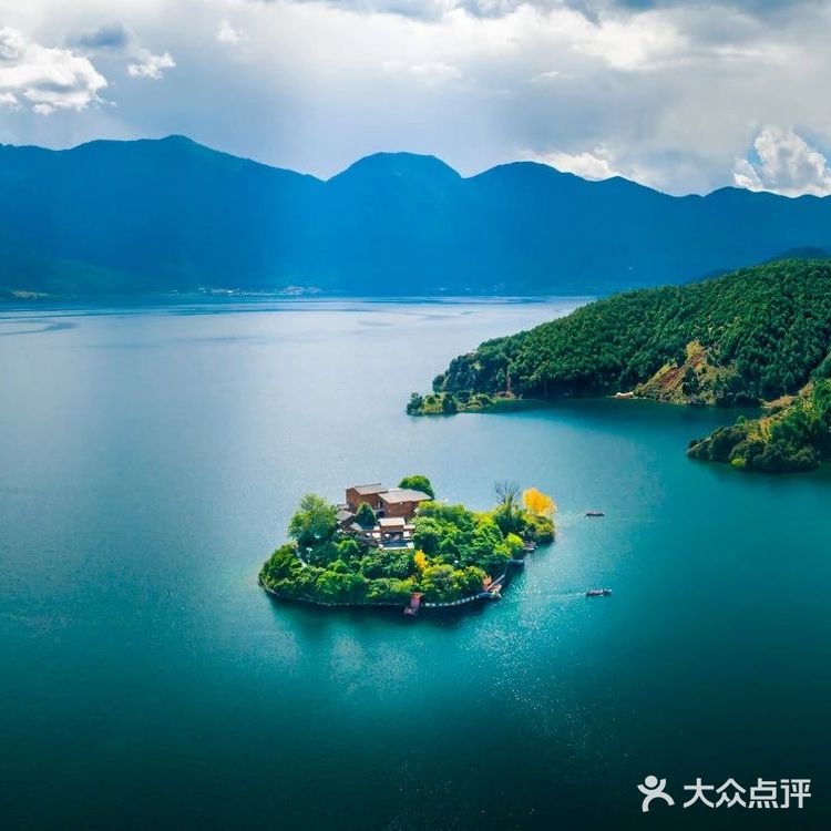 会把小白花送到离它根叶很远很远的地方