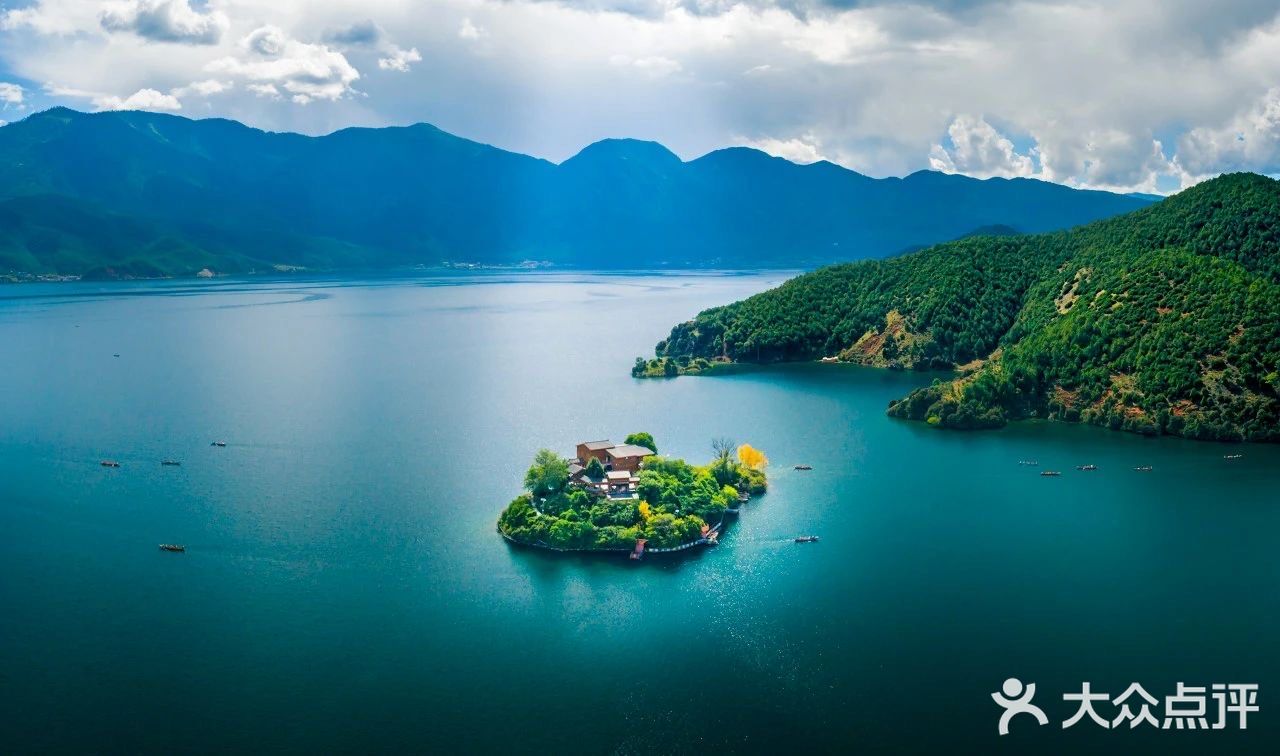 会把小白花送到离它根叶很远很远的地方